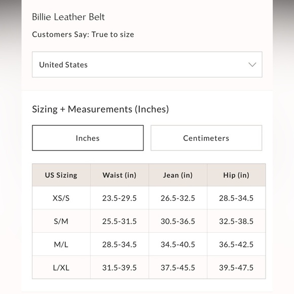 NWT Free People Billie Leather Belt in Wild Side - Picture 3 of 6